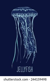 Hand drawn jellyfish. Vector illustration. Sea collection.