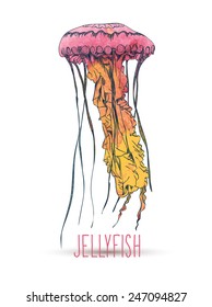 Hand drawn jellyfish. Vector illustration. wa