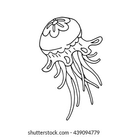 Hand drawn jellyfish. Vector illustration