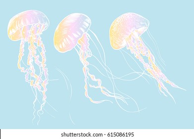 Hand drawn jellyfish. Vector illustration. Sea collection.