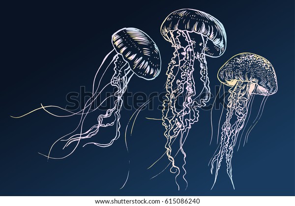 手描きのクラゲ ベクターイラスト 海のコレクション のベクター画像素材 ロイヤリティフリー