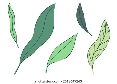 Hand drawn jungle ivy leaves set with tropical botanical elements. Vector illustration in modern minimal style. nature design for decoration print textile eco interior floral wedding invitation