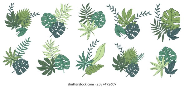 Hand drawn jungle leaves set with monstera, palm, fern, botanical elements. Vector illustration in modern tropical style. Green nature design for decoration, print, invitation, textile, eco interior