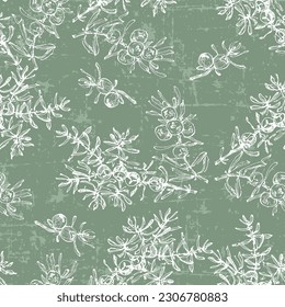 Hand drawn juniper seamless pattern. Juniper berries with leaves on shabby background. Original simple flat illustration. Shabby style.