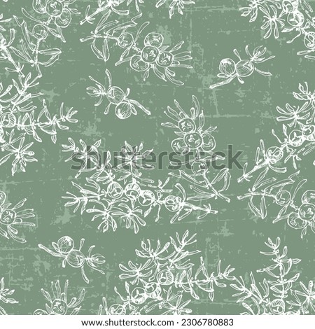 Hand drawn juniper seamless pattern. Juniper berries with leaves on shabby background. Original simple flat illustration. Shabby style.