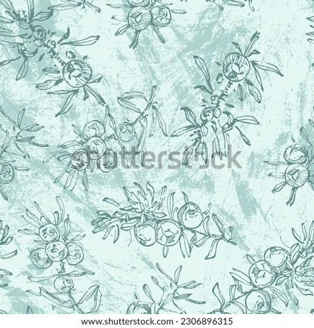 Hand drawn juniper seamless pattern. Juniper berries with leaves on shabby background. Original simple flat illustration. Shabby style.
