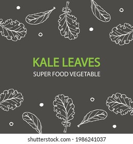 Hand drawn kale leaf, superfood vegetable isolated on dark grey background. 