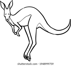 hand drawn kangaroo illustration. vector animal
