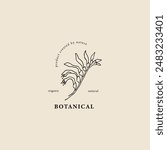 Hand drawn kangaroo paw flower logo