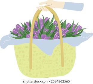 Hand drawn hand keeping big basket with lilac tulips.