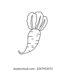 Hand drawn Kids drawing Cartoon Vector illustration radish icon Isolated on White Background
