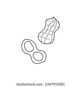 Hand drawn Kids drawing Cartoon Vector illustration peanut icon Isolated on White Background