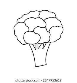 Hand drawn Kids drawing Cartoon Vector illustration brocoli icon Isolated on White Background