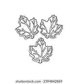 Hand drawn Kids drawing Cartoon Vector illustration maple sugar candies Isolated on White Background