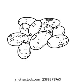 Hand drawn Kids drawing vector Illustration pinto beans in a cartoon style Isolated on White Background
