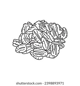 Vector de dibujo a mano Dibujo infantil Illustración de pecans en un estilo de caricatura Aislado en fondo blanco