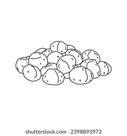 Hand drawn Kids drawing vector Illustration macadamia nuts in a cartoon style Isolated on White Background