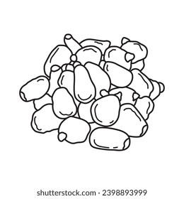 Vector de dibujo a mano Dibujo infantil Illustración nueces de pan en un estilo de caricatura Aislado en fondo blanco