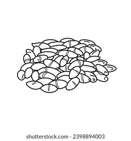 Hand drawn Kids drawing vector Illustration baru nuts in a cartoon style Isolated on White Background