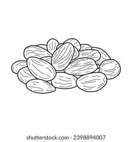 Hand drawn Kids drawing vector Illustration almonds in a cartoon style Isolated on White Background