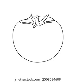 Desenho de crianças desenhadas à mão Desenho de ilustração vetorial desenho animado plano de tomate isolado