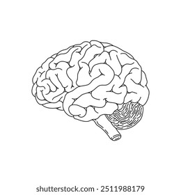 Hand drawn kids drawing Vector illustration human brain flat cartoon isolated