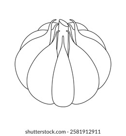 Hand drawn kids drawing vector illustration a bulb of garlic cartoon isolated