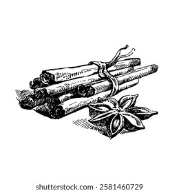Hand drawn kitchen herbal and spice illustration of. Isolated sketch on white background