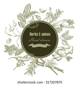 Hand drawn kitchen herbs and spices. Botanical banner set. Vector illustration. Eco food background