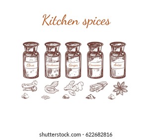 Hand drawn kitchen spices set with glass bottles of clove cardamom ginger cinnamon anise isolated vector illustration