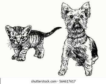 Hand drawn kitten and yorkshire terrier.