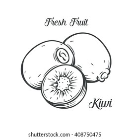 Hand drawn kiwi. Decorative vector  icon kiwi in the old ink style