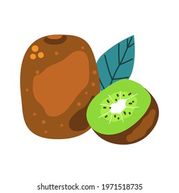 Hand drawn kiwi fruit. Flat illustration.
