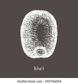 Hand drawn kiwi fruit isolated vector illustration. Sketch style.