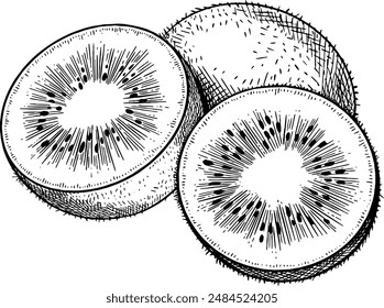 Hand drawn Kiwi Fruit Sketch Illustration