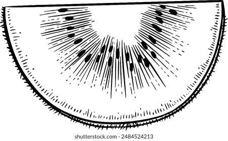 Hand drawn Kiwi Fruit Slice Sketch Illustration