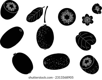 Hand drawn kiwi silhouette illustration