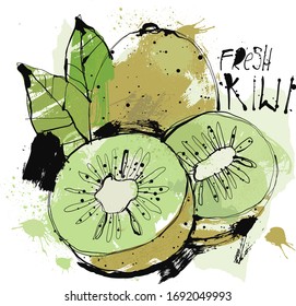 Hand drawn Kiwi Sketch reduced to one layer