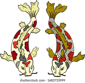 Hand drawn Koi carp on red background. Auspicious Chinese new year concept. Goldfish for festival backdrops. Beautiful koi fish with line art.