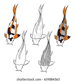 Hand drawn Koi fish isolate vector set and  Japanese tattoo