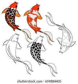 Hand drawn Koi fish isolate vector set and  Japanese tattoo