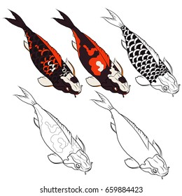 Hand drawn Koi fish isolate vector set and  Japanese tattoo