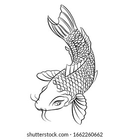 Hand drawn koi fish. Japanese carp line drawing for coloring book. Doodle 3
