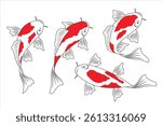 Hand drawn koi fish Vector Set. Koi fish illustration on painting