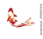 Hand drawn koi fish vector. Koi carp line art illustration
