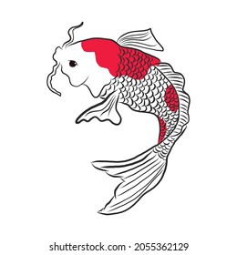 hand drawn koi fish vector
