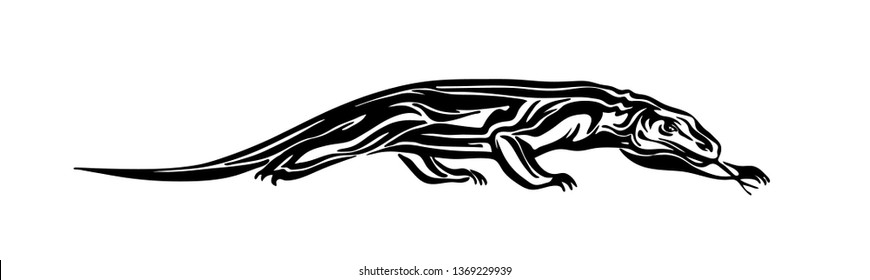 Hand drawn Komodo dragon. Vector black ink drawing varan isolated on white background. Graphic animal illustration.