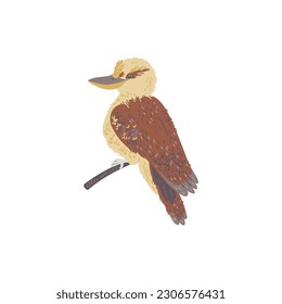 Hand drawn kookaburra bird, flat vector illustration isolated on white background. Australian tropical jungle animal. Exotic bird sitting on branch. Kid education concept.