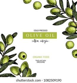 Hand drawn label of extra virgin olive oil. Vector colored vintage art. Set of farm vegetables. Organic sketched vegetarian objects. Use for restaurant, menu, package, market, flyer, template.