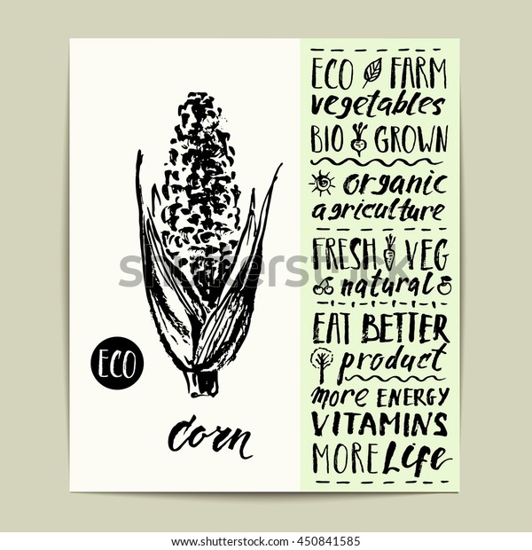 Hand drawn label with\
ink lettering for organic farm corn. Eco, bio, healthy, natural,\
with love labels.